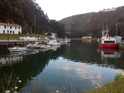 Museo de ciencias – Tinamayor, Centro de Interpretación de la Ría – Bustio