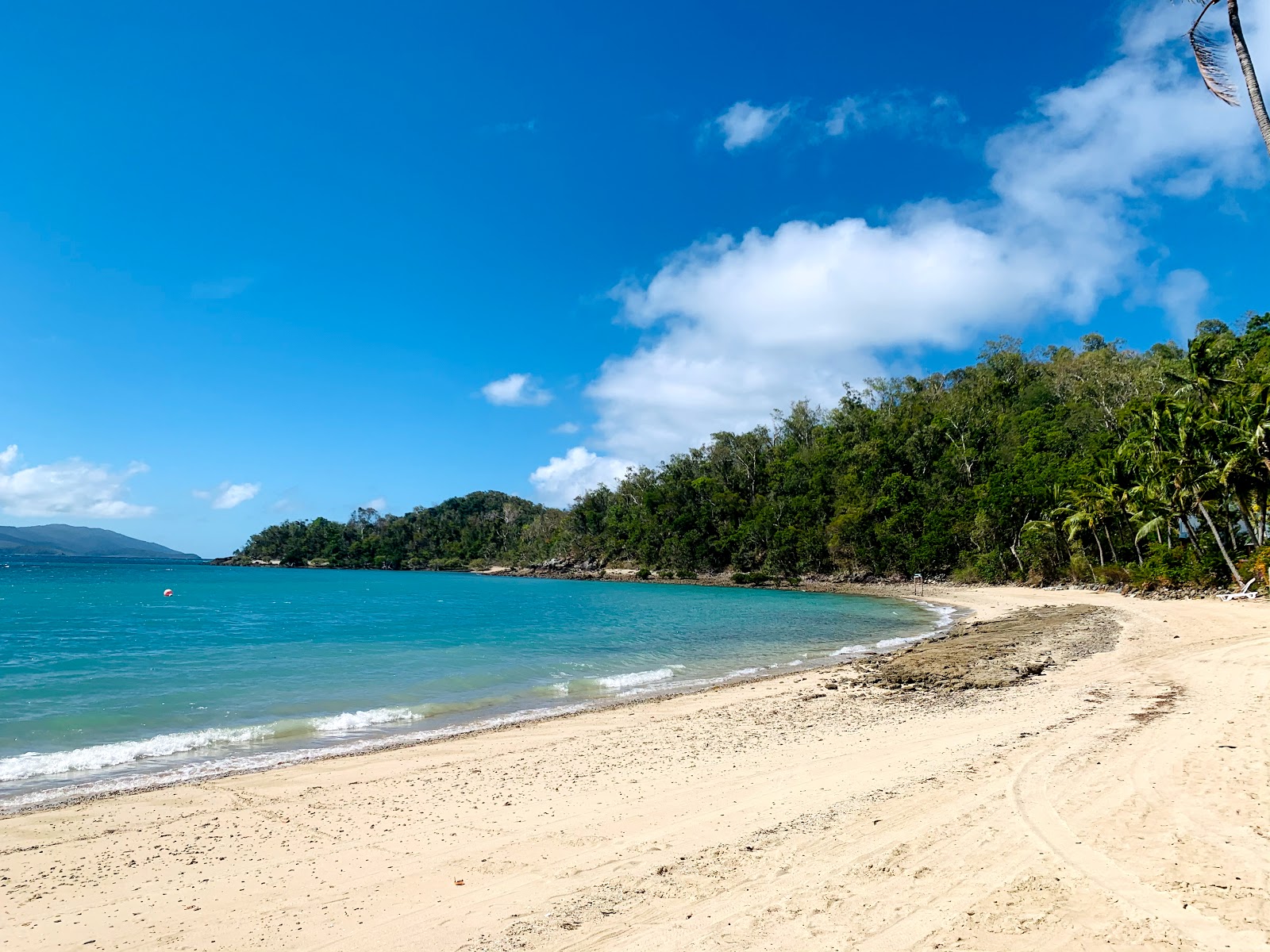 Foto de Palm Bay Beach con arena beige superficie