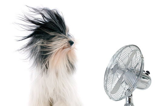 HVAC Contractor «Air Therm Co Inc», reviews and photos