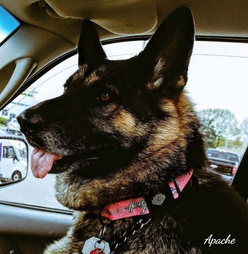 Harley-Davidson Dealer «Signature Harley-Davidson», reviews and photos, 1176 Professional Dr, Perrysburg, OH 43551, USA