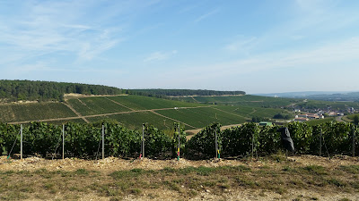 PRESSOIR TREUFFET Père & Fils CHAMPAGNE à Balnot-sur-Laignes