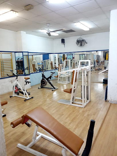 GIMNASIO LAS PALMERAS