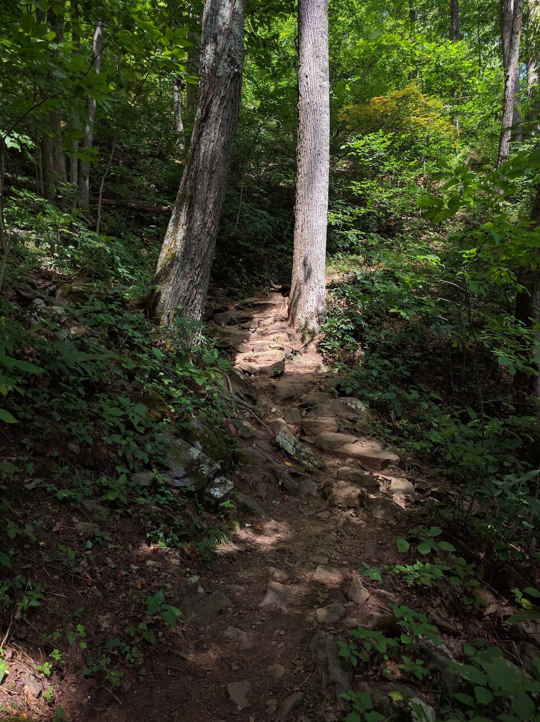 Craven Gap Trail