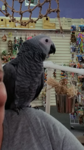Bird Shop «Varietees Bird Shop», reviews and photos, 60 Meramec Valley Plaza, Valley Park, MO 63088, USA