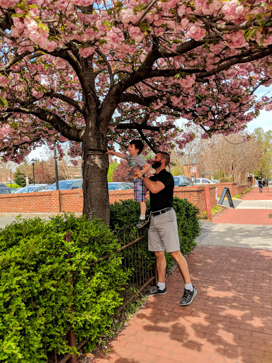 Cafe «Hyperion Espresso», reviews and photos, 301 William St, Fredericksburg, VA 22401, USA