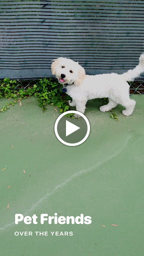 Sporting Goods Store «All American Sports Shop», reviews and photos, 20120 Saticoy St, Winnetka, CA 91306, USA