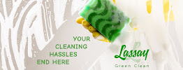Lassay Green Clean - Photo 2 - Car repair in Kissimmee, FL, Kissimmee