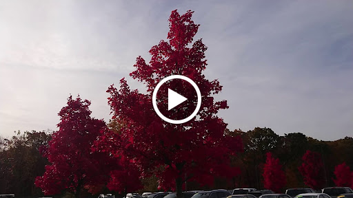 Car Dealer «Colonial Toyota», reviews and photos, 550 George Washington Hwy, Smithfield, RI 02917, USA