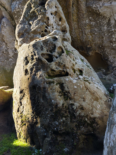 Nature Preserve «Elephant Rock», reviews and photos, 2997-3261 Dillon Beach Rd, Tomales, CA 94971, USA