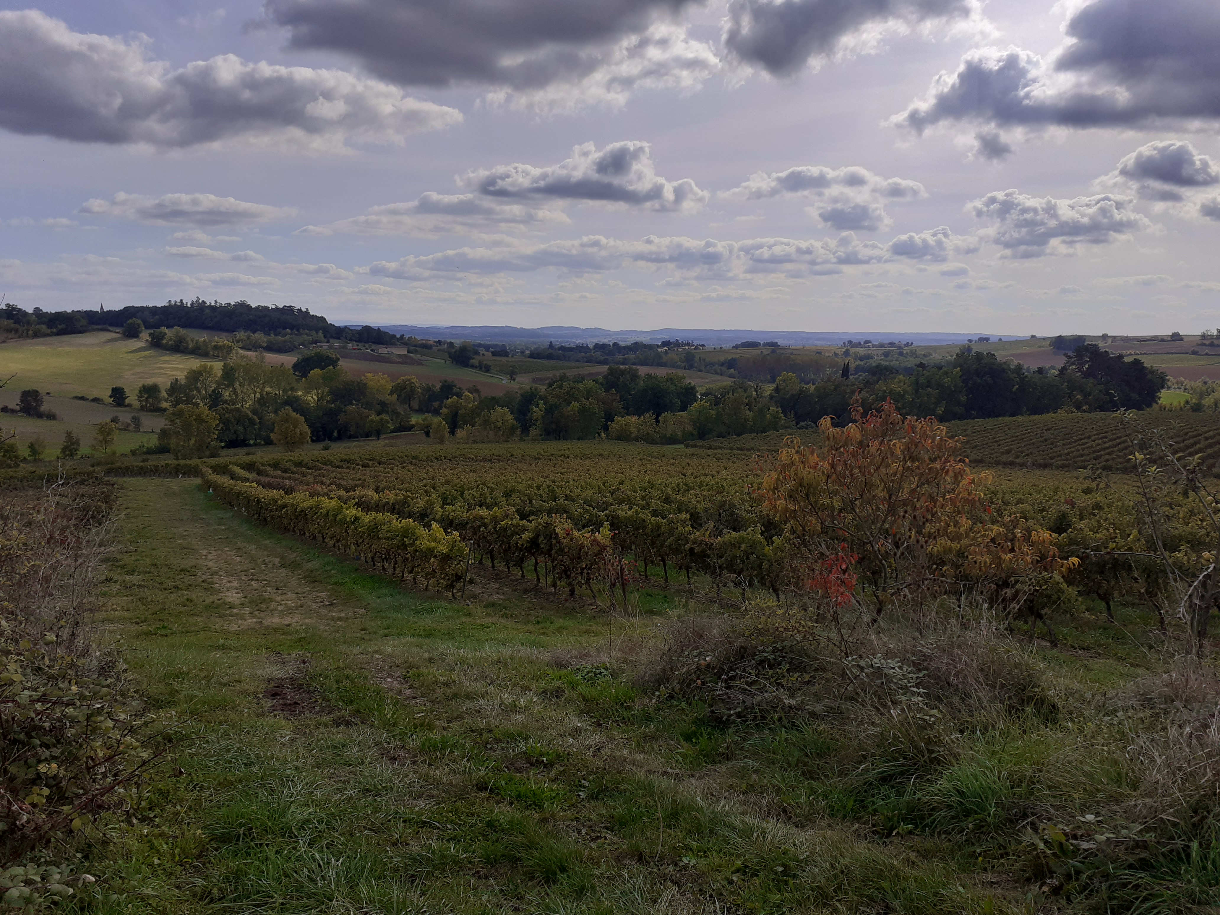 Photo n° 17 de l'avis de seb.e fait le 13/10/2021 à 18:08