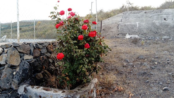 agua dulce