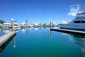 Nelson Bay Beach image