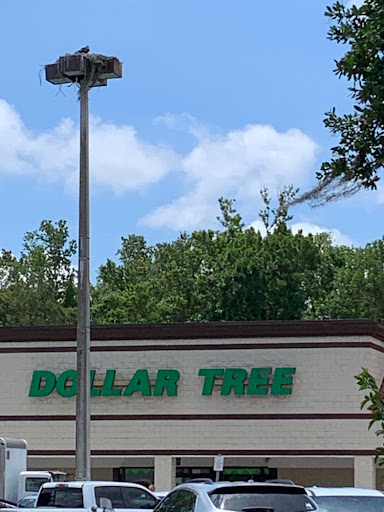 Dollar Store «Dollar Tree», reviews and photos, 1952 State Rd 44, New Smyrna Beach, FL 32168, USA