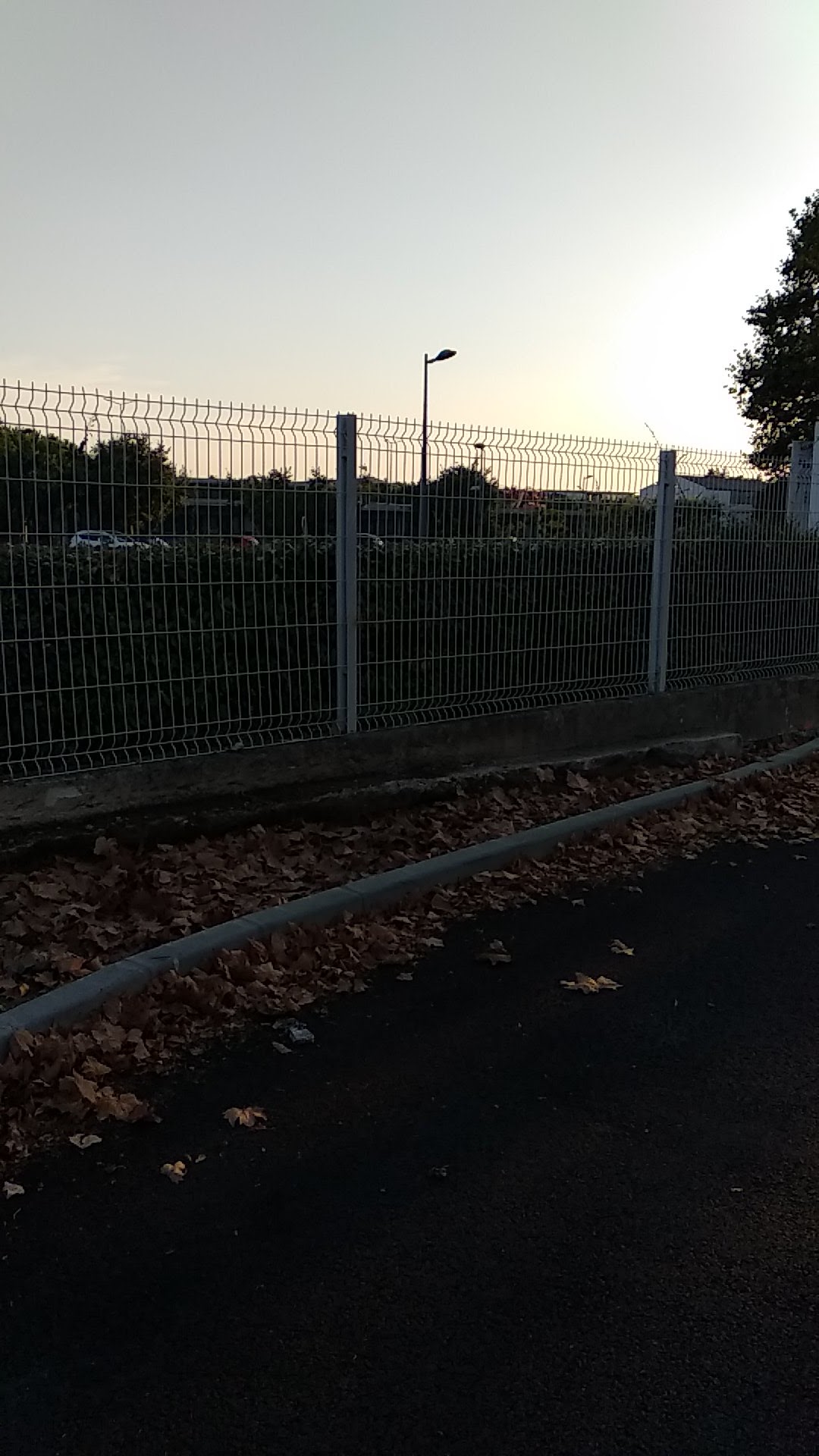 Photo n° 24 de l'avis de Ruchi. fait le 14/08/2022 à 18:01