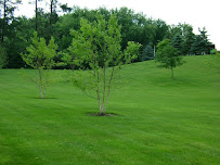 Cedar Tree Properties, Turf & Pest Solutions - Photo 4 - Car repair in Albany, NY, Albany