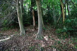 Sakurai Chausuyama Tumulus image