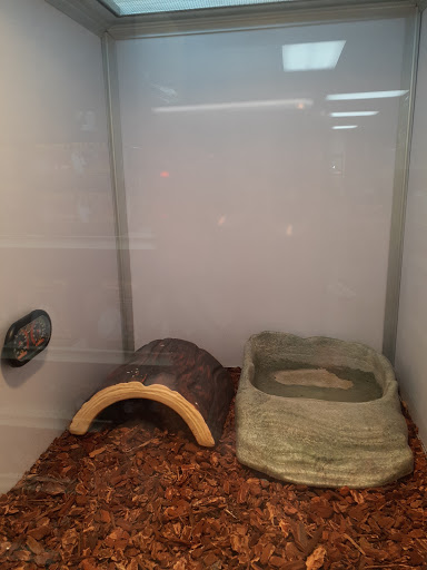 Pet Supply Store «Pet Supermarket», reviews and photos, 1040 Palm Coast Pkwy NW, Palm Coast, FL 32137, USA