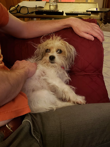 Pet Supply Store «PetSmart», reviews and photos, 730 S Sepulveda Blvd, El Segundo, CA 90245, USA