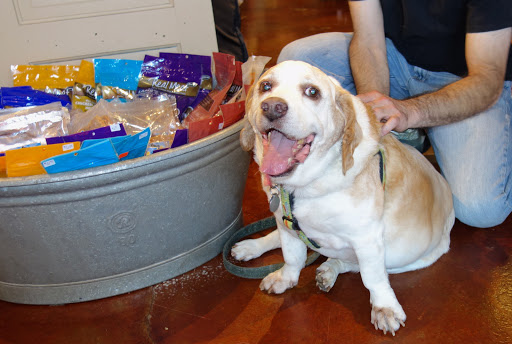 Pet Supply Store «Green Dog Pet Supply», reviews and photos, 4327 NE Fremont St, Portland, OR 97213, USA