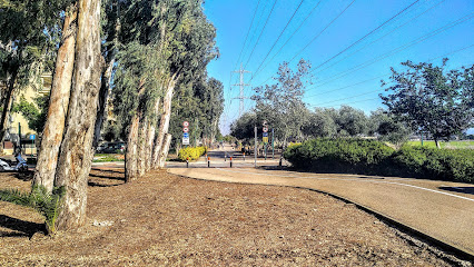 אורט דפנה חט"ב