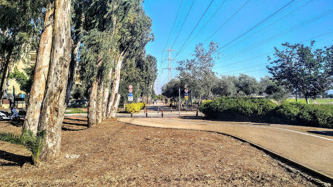 אורט דפנה חט"ב