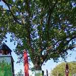 Photo n°2 de l'avis de Annett.a fait le 01/06/2023 à 19:43 sur le  Ahoi_Schlemmerdeck à Zempin