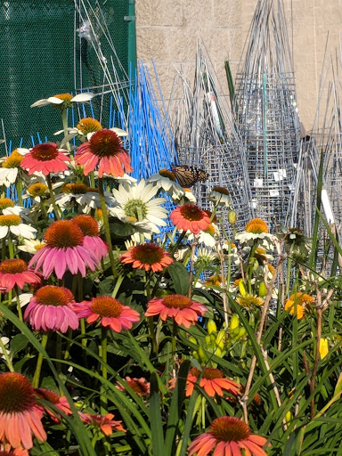 Home Improvement Store «The Home Depot», reviews and photos, 280 N Main St, Rochester, NH 03867, USA