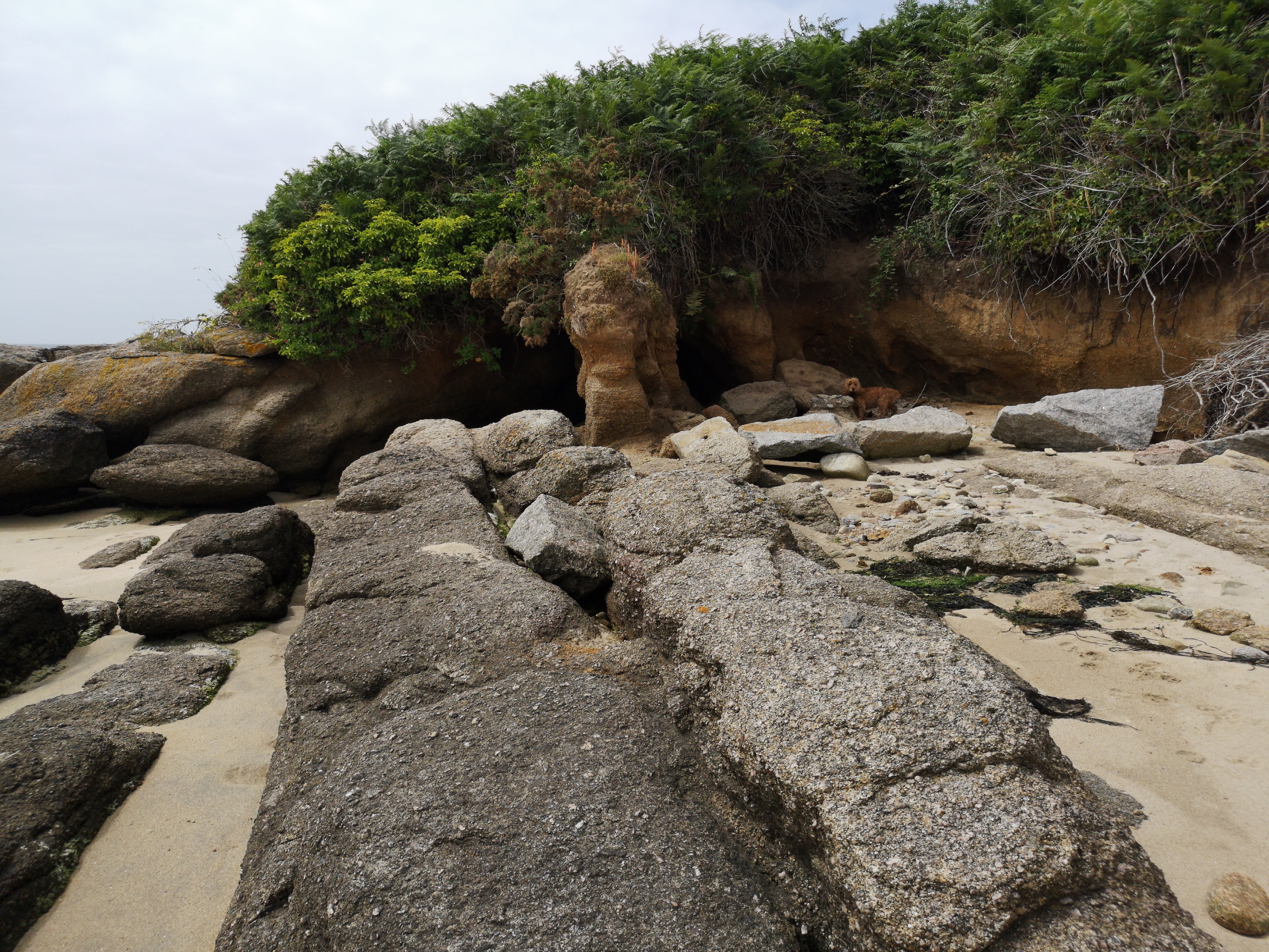 Photo n° 3 de l'avis de Sonja.c fait le 16/06/2019 à 18:50