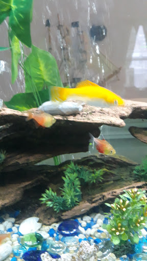 Pet Supply Store «Coastline Pet Supply», reviews and photos, 3530 Northgate Dr, Myrtle Beach, SC 29588, USA