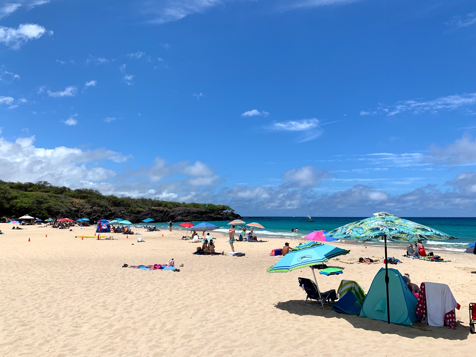Photo of Hapuna Beach with very clean level of cleanliness