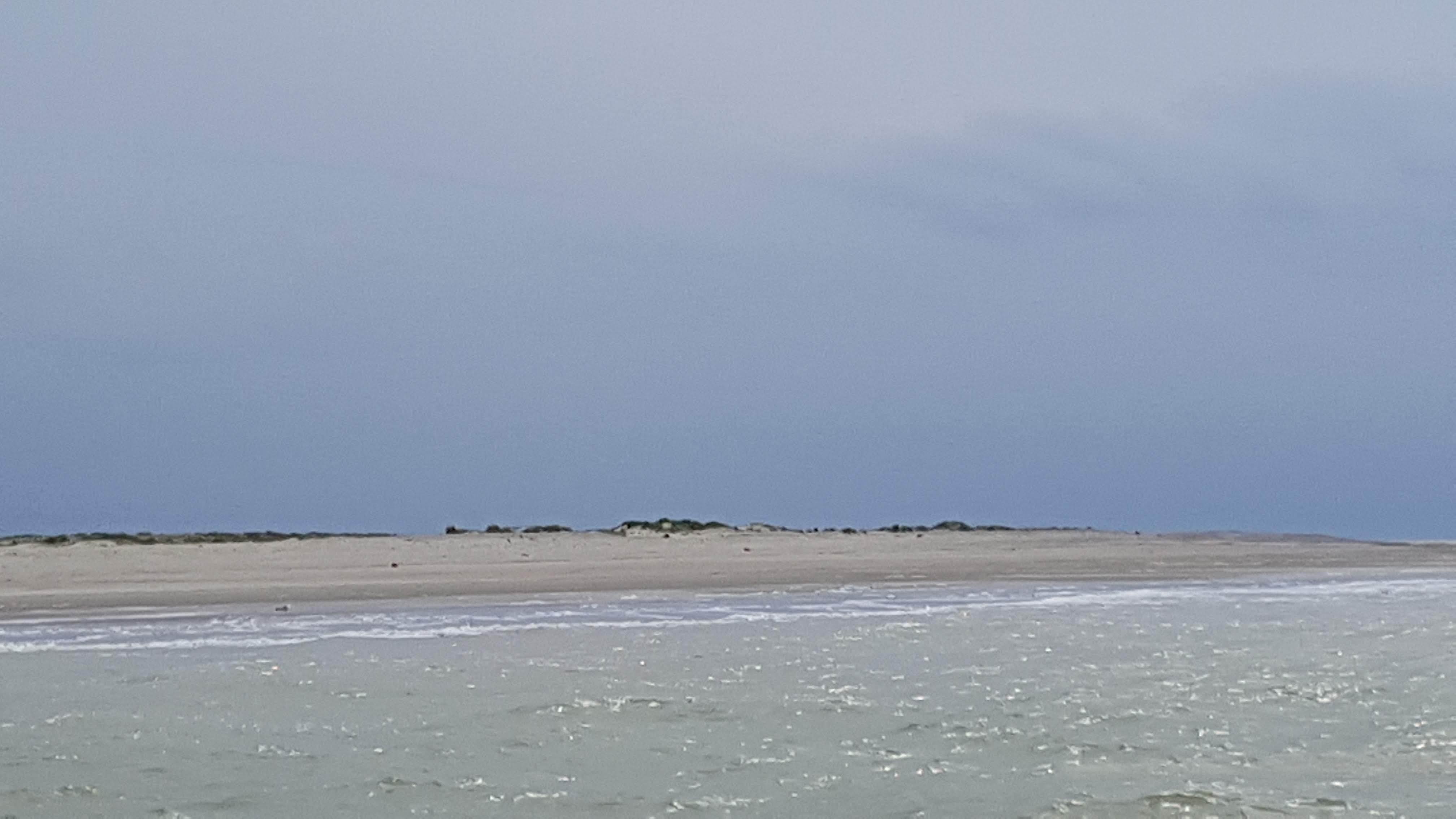 Photo n° 2 de l'avis de thiriet.r fait le 20/05/2019 à 07:26