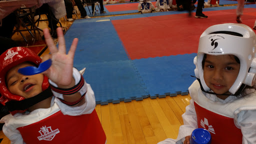 Taekwondo Athletes Program Coaching and Training USA