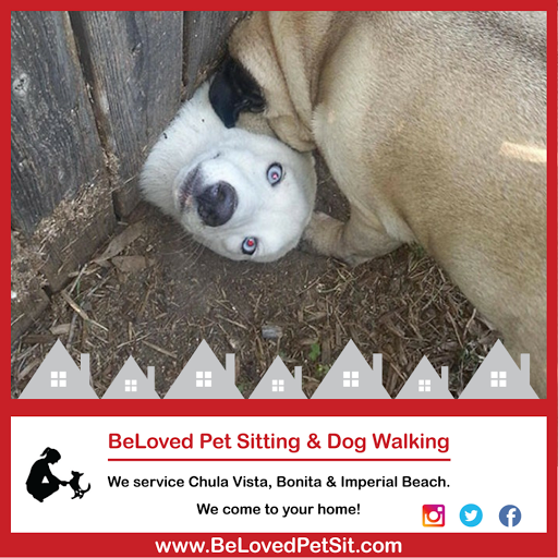 BeLoved Pet Sitting - Chula Vista & Bonita