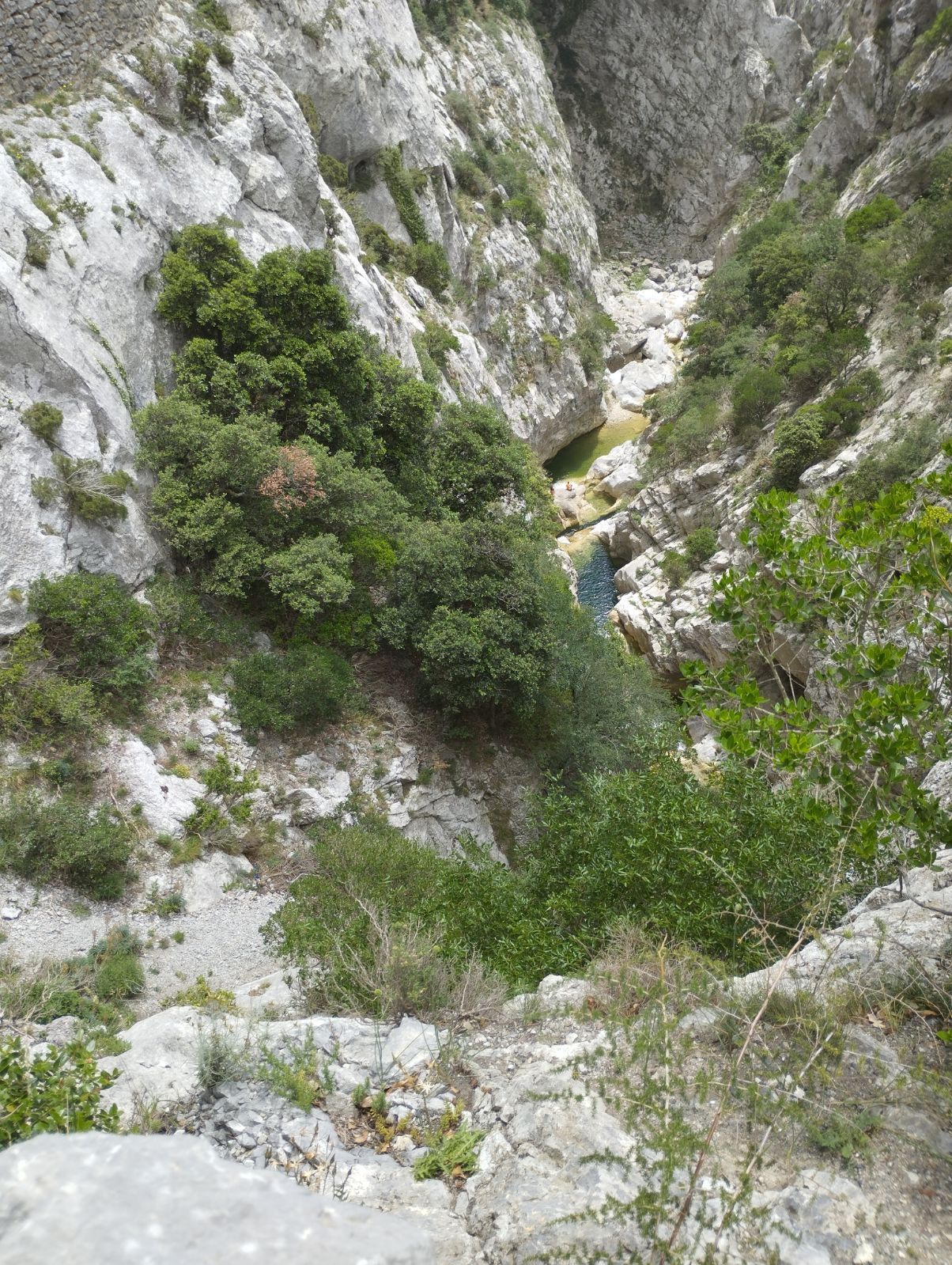 Photo n° 1 de l'avis de Robert.e fait le 20/06/2023 à 18:15