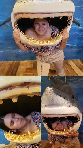 Sporting Goods Store «Bass Pro Shops», reviews and photos, 5900 Sugarloaf Pkwy, Lawrenceville, GA 30043, USA