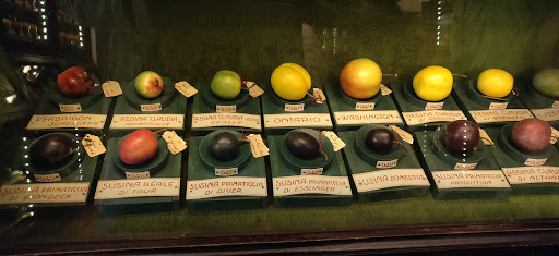 Museum of Fruit Francesco Garnier Valets