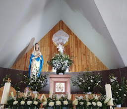 Parroquia de Cristo Salvador y Santa María Guadalupe photo