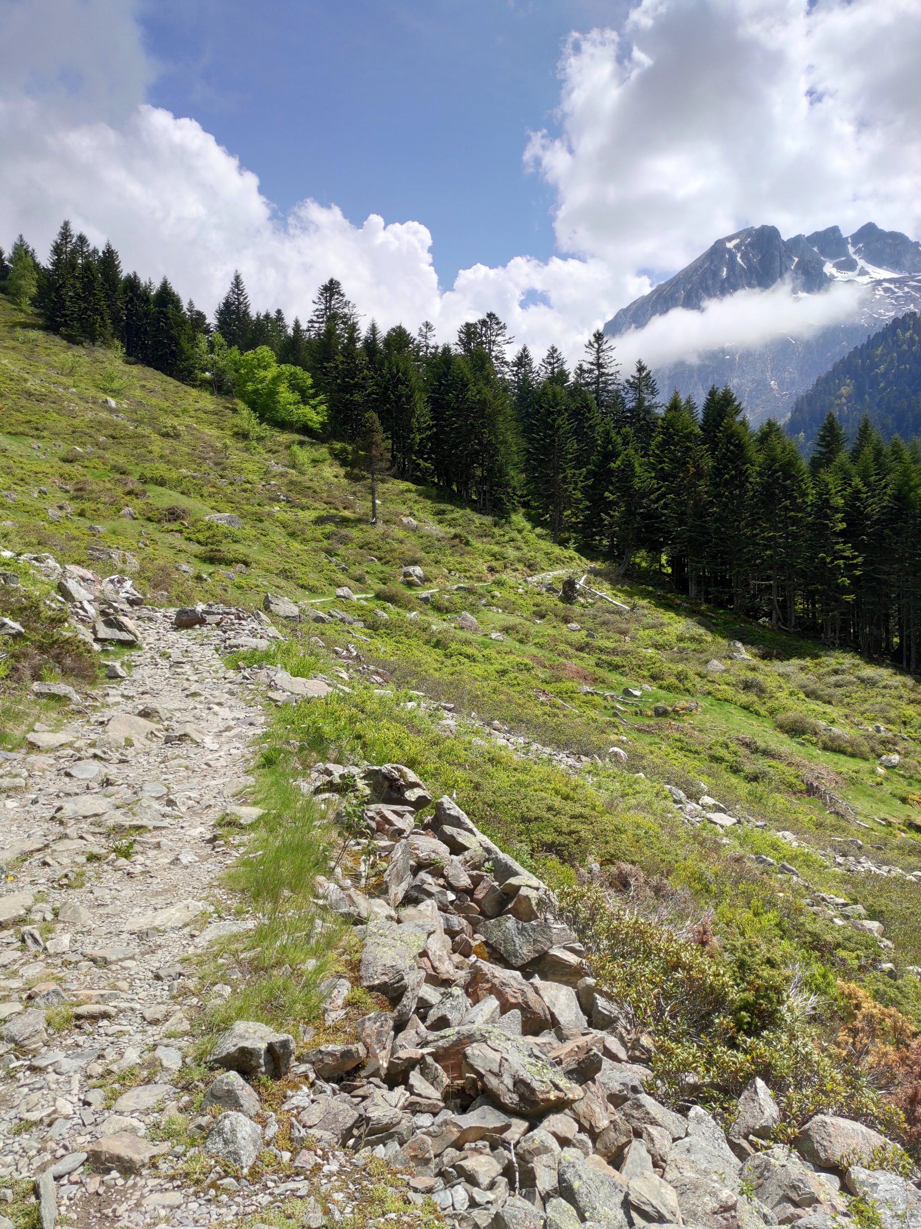 Photo n° 11 de l'avis de Florian.o fait le 22/06/2019 à 14:10