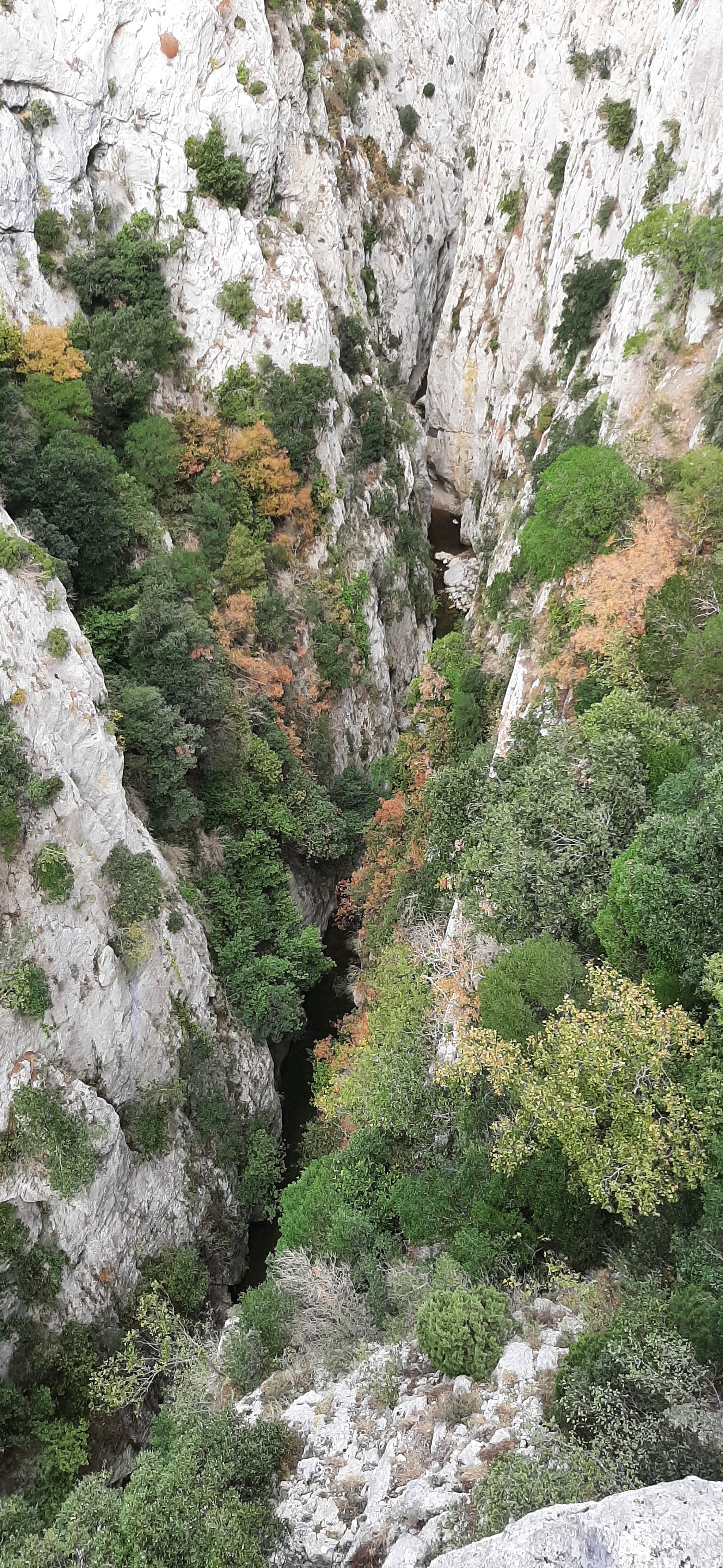 Photo n° 2 de l'avis de Sabine.i fait le 17/11/2022 à 19:51