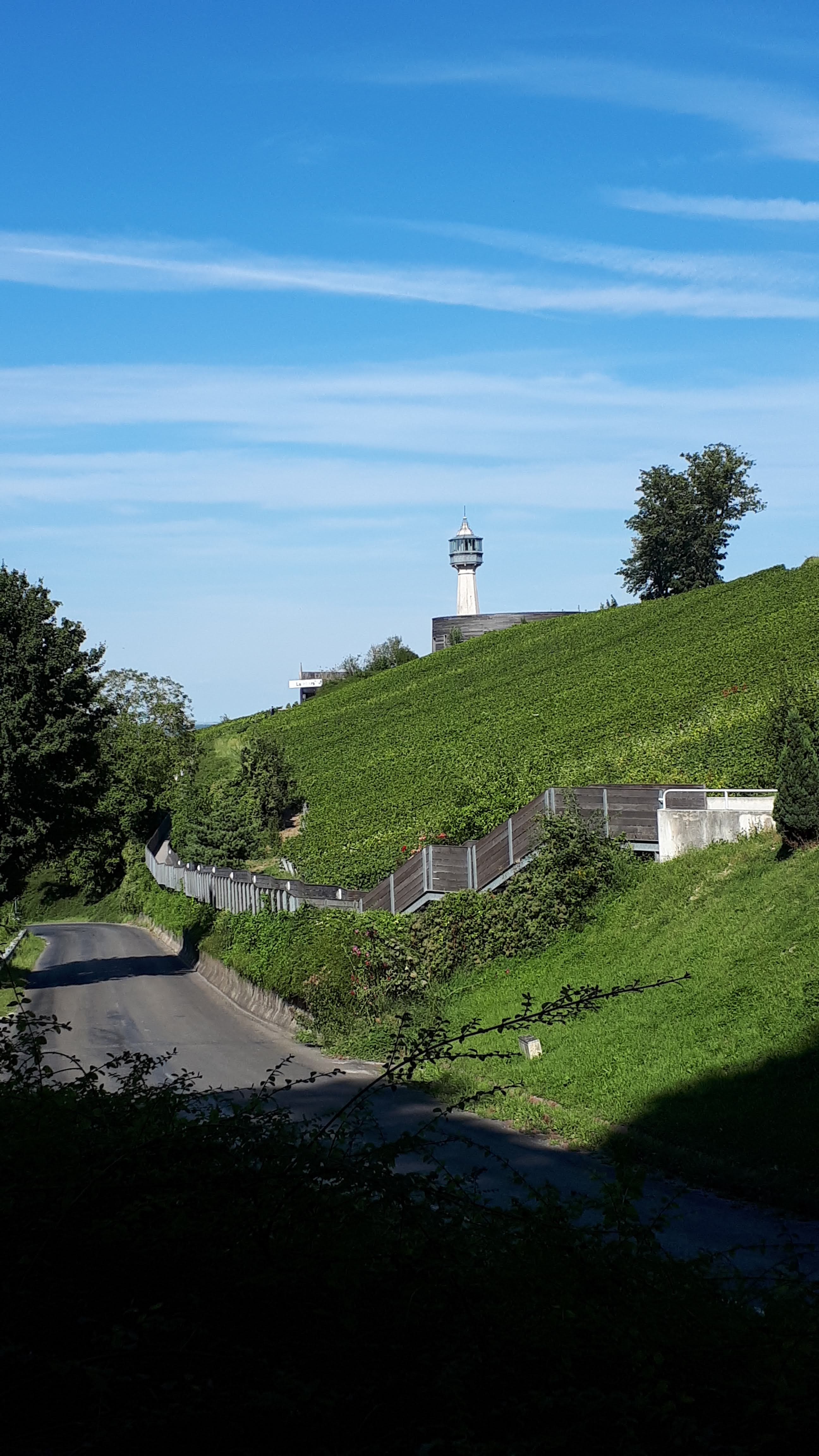 Photo n° 20 de l'avis de Françoise.o fait le 21/09/2021 à 16:22
