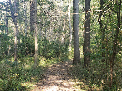 Nature Preserve «Starkey Park», reviews and photos, 667 Sugarbush Dr, Zionsville, IN 46077, USA