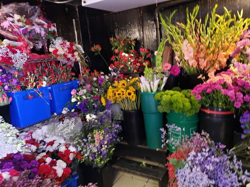 Florist «St Agnes Floral Shop, Inc.», reviews and photos, 2123 South Ave, Syracuse, NY 13207, USA