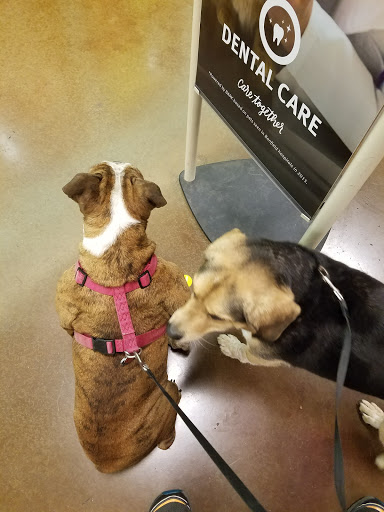 Pet Supply Store «PetSmart», reviews and photos, 1561 N Dysart Rd, Avondale, AZ 85323, USA