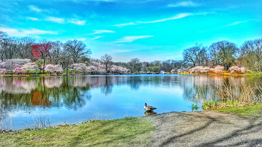Park «Branch Brook Park», reviews and photos, Lake St & Park Avenue, Newark, NJ 07104, USA