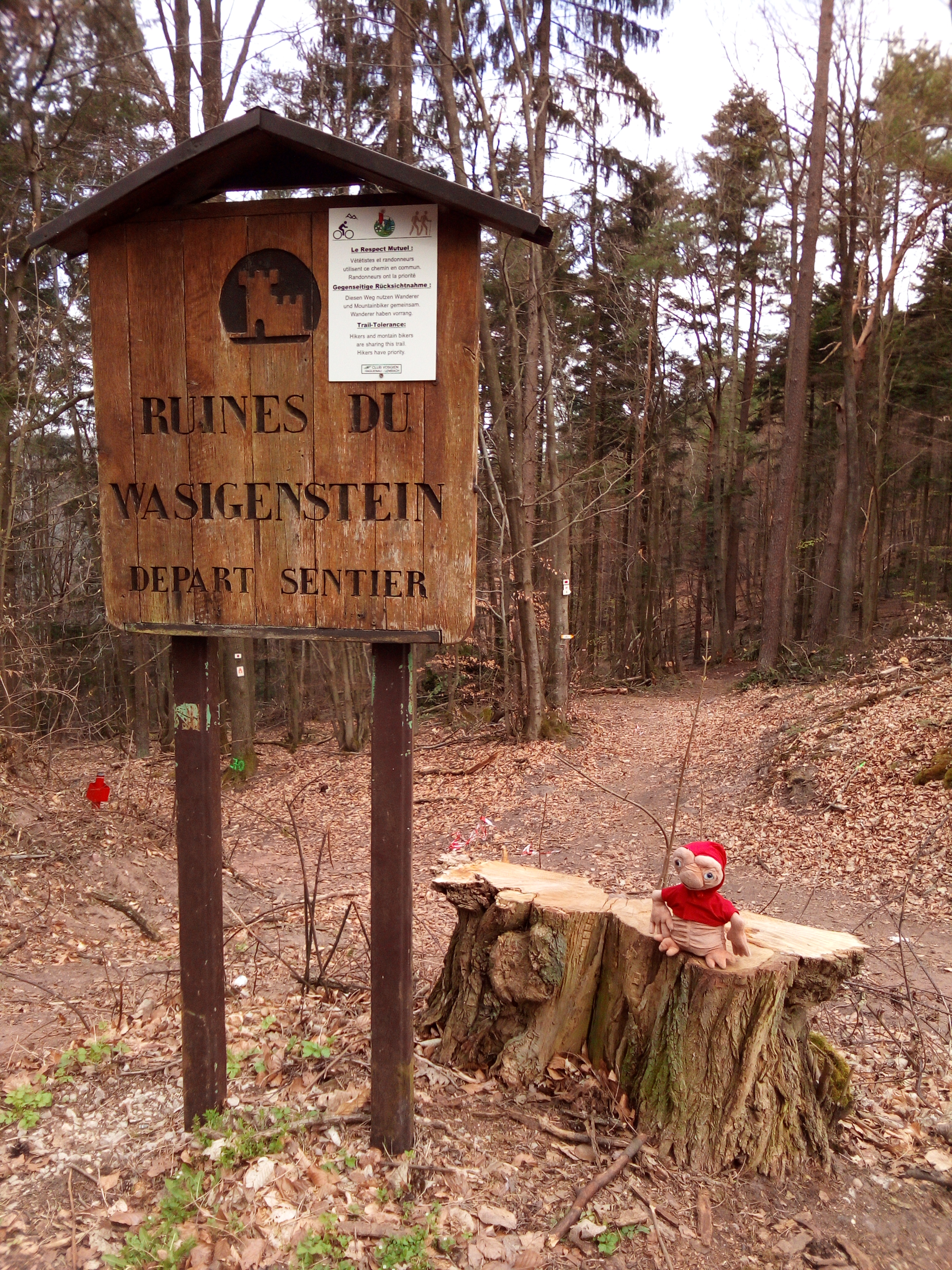 Photo n° 7 de l'avis de Elke.r fait le 19/04/2018 à 09:52