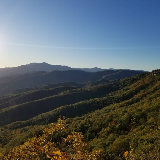 Restaurant «Woodlands Barbeque Restaurant & Catering Service», reviews and photos, 8304 Valley Blvd, Blowing Rock, NC 28605, USA