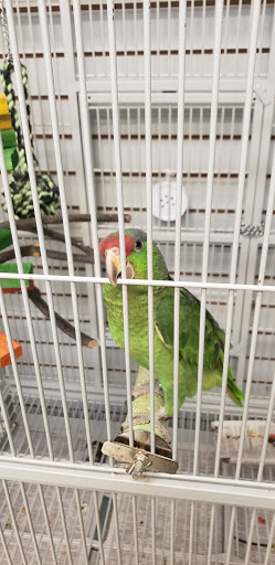 Pet Store «Pet World Warehouse Outlet», reviews and photos, 2984 S 108th St, Milwaukee, WI 53227, USA