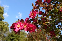 やまのぼり公園