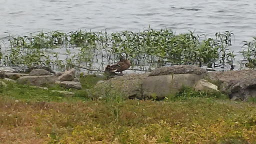 Casino «Konocti Vista Casino Resort, Marina & RV Park», reviews and photos, 2755 Mission Rancheria Rd, Lakeport, CA 95453, USA