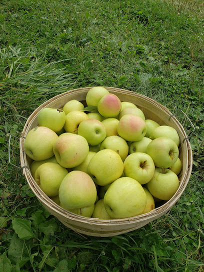 Abbruzzese Apples